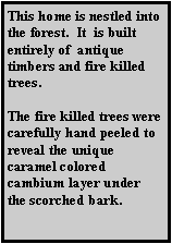 Text Box: This home is nestled into the forest.  It  is built entirely of  antique timbers and fire killed trees.The fire killed trees are carefully hand peeled to reveal the unique caramel colored cambium layer under the scorched bark.
